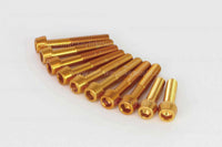 Takegawa - L Crackcase Altech Cap Bolt Kit (Gold)