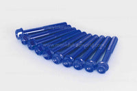 Takegawa - R Crackcase Altech Flange Bolt Kit (Silver, Blue)